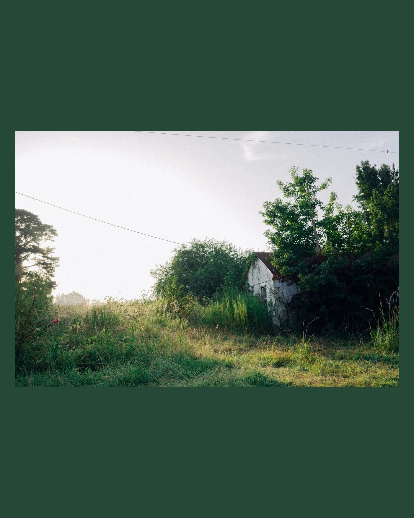 An overgrown house on a forest green 4:5 border
